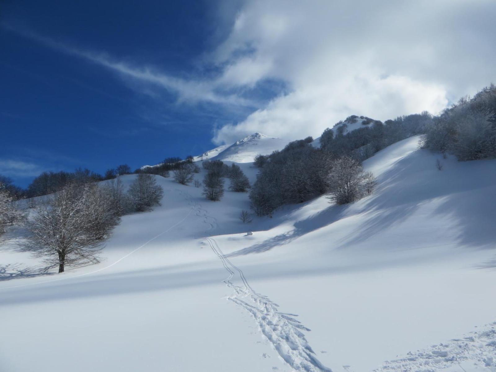 B&B Vivilmatese Roccamandolfi Exteriér fotografie