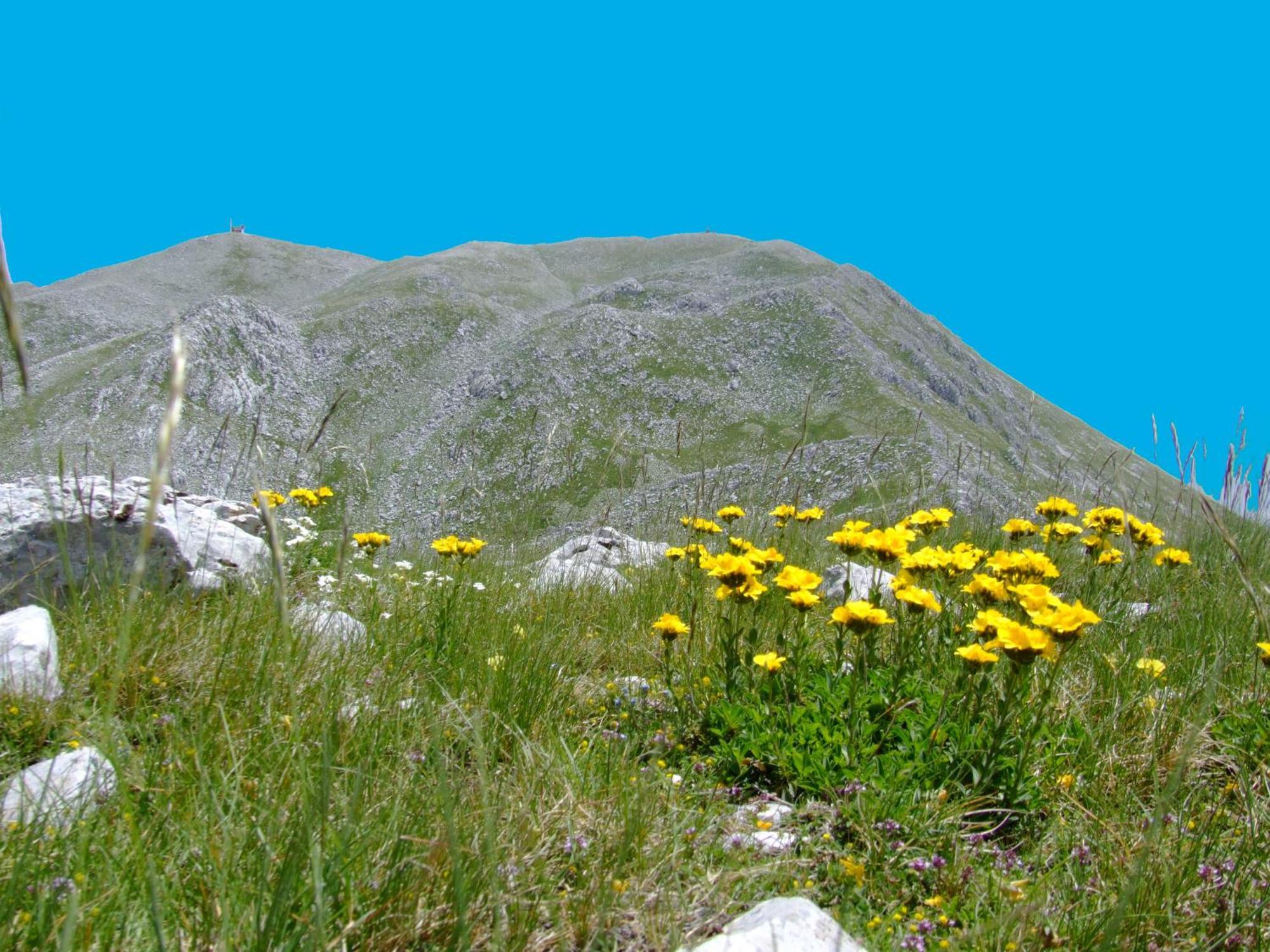 B&B Vivilmatese Roccamandolfi Exteriér fotografie
