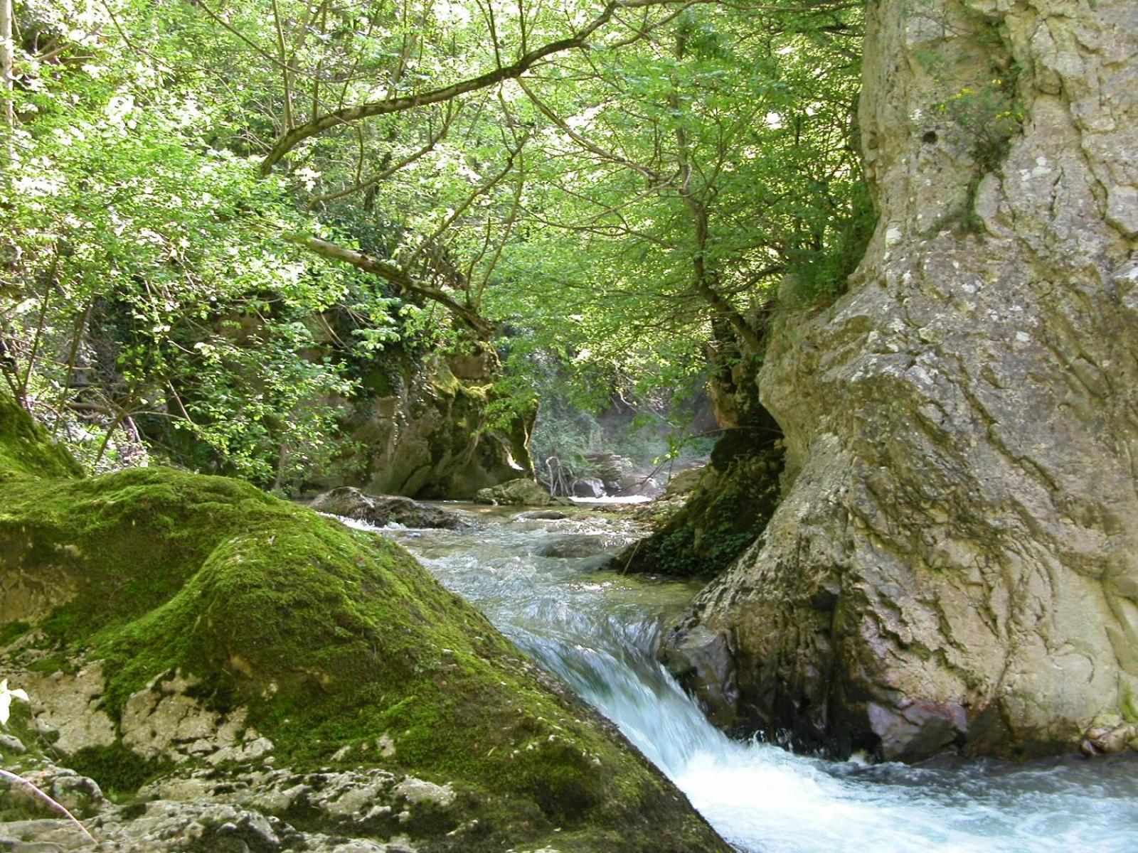 B&B Vivilmatese Roccamandolfi Exteriér fotografie